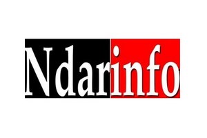 logo-ndarinfo